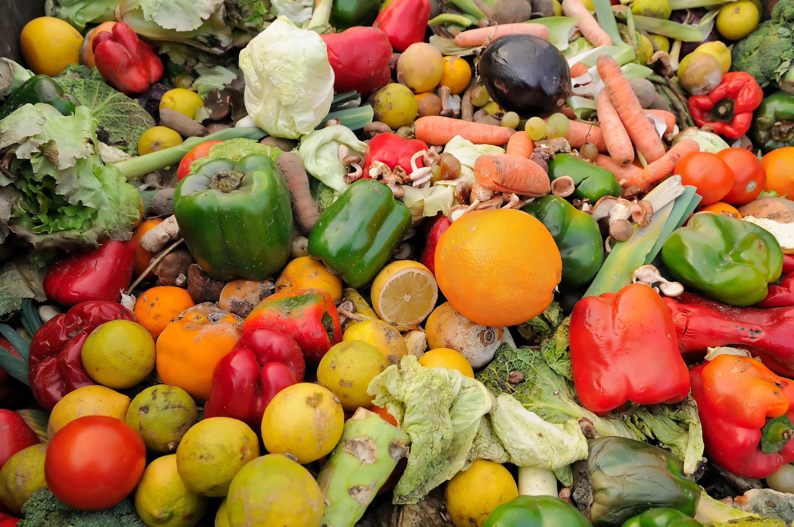 Rotten fruit and vegetable waste in a dumpster.